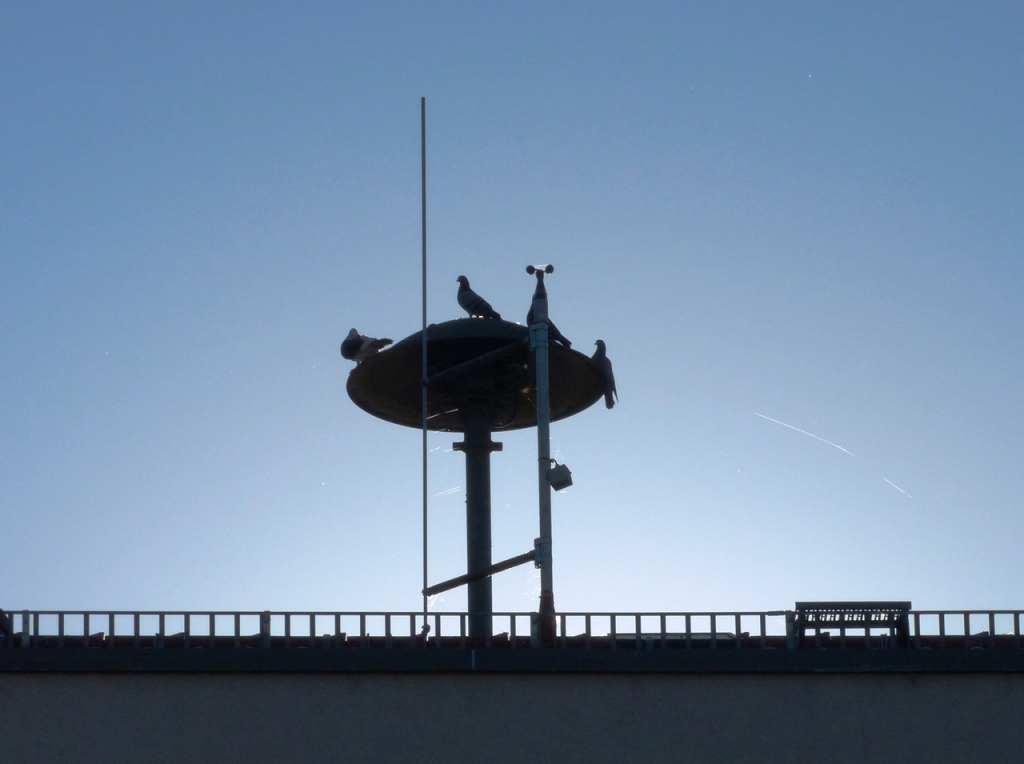 Sirene auf dem Rathausdach der Gemeinde Oftersheim.jpg