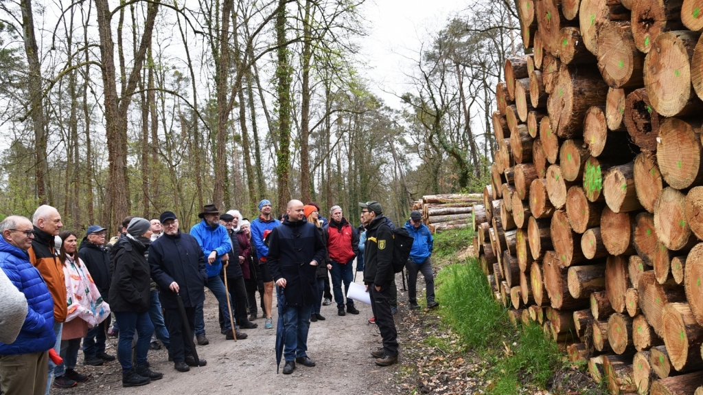 Bürgermeister Pascal Seidel und Forstbezirksleiter Philipp Schweigler stehen vor einem Stapel gefällter Bäume (Polter).