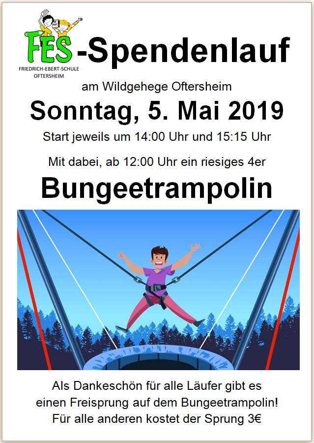 Plakat Spendenlauf-2019 FöVe-FES.jpg