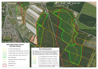 Der Beweidungsplan des RP Karlsruhe für das Jahr 20222