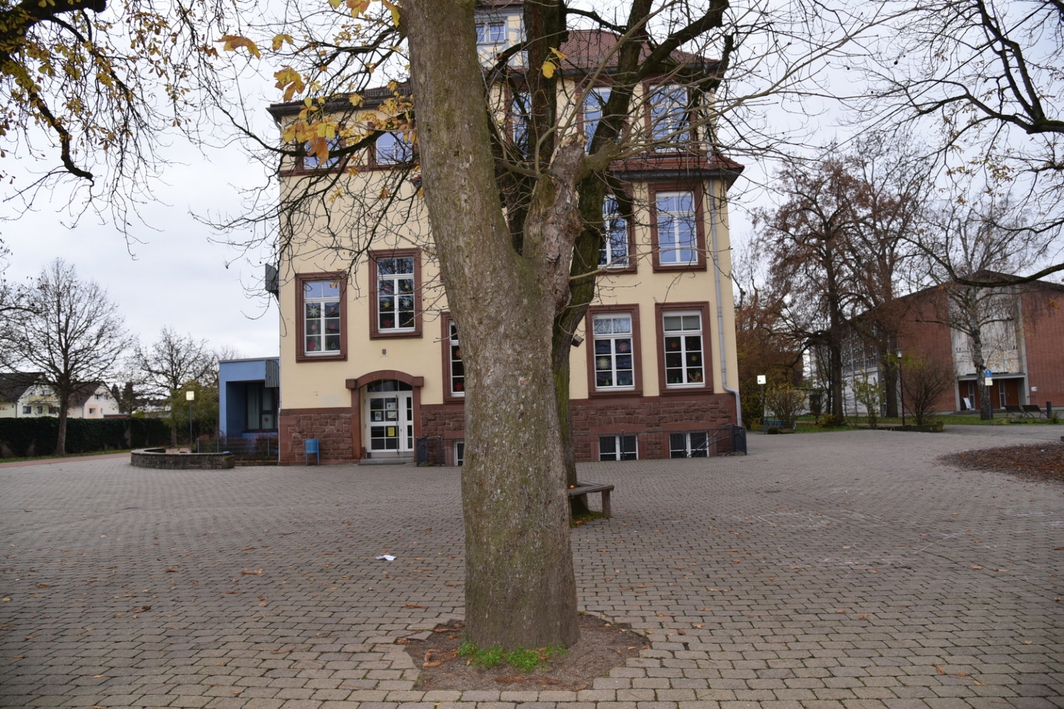 Eine der stattlichen Rosskastanien (Bildmitte) auf dem Schulhof der Friedrich-Ebert-Schule musste gefällt werden. Das hatte ein Baumgutachten ergeben.