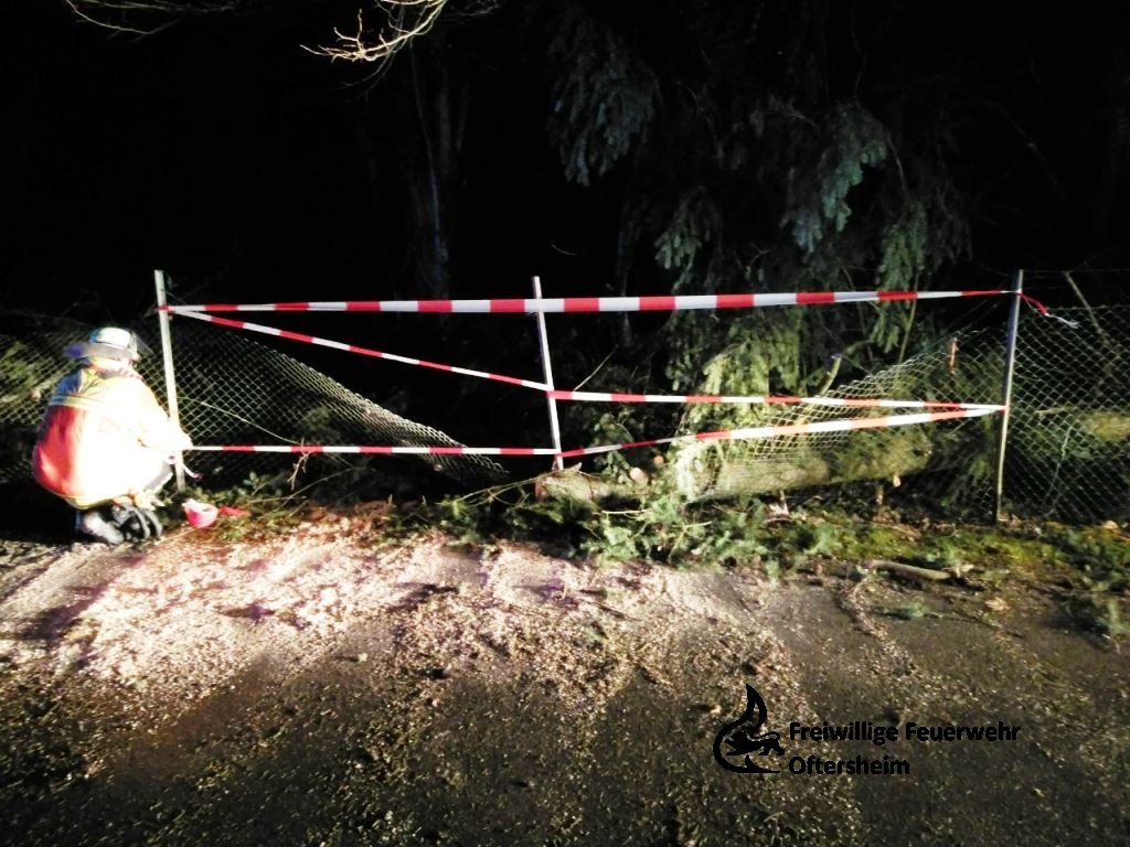 Sturm Baum auf-Straße 03.01.2018 FFO2.jpeg