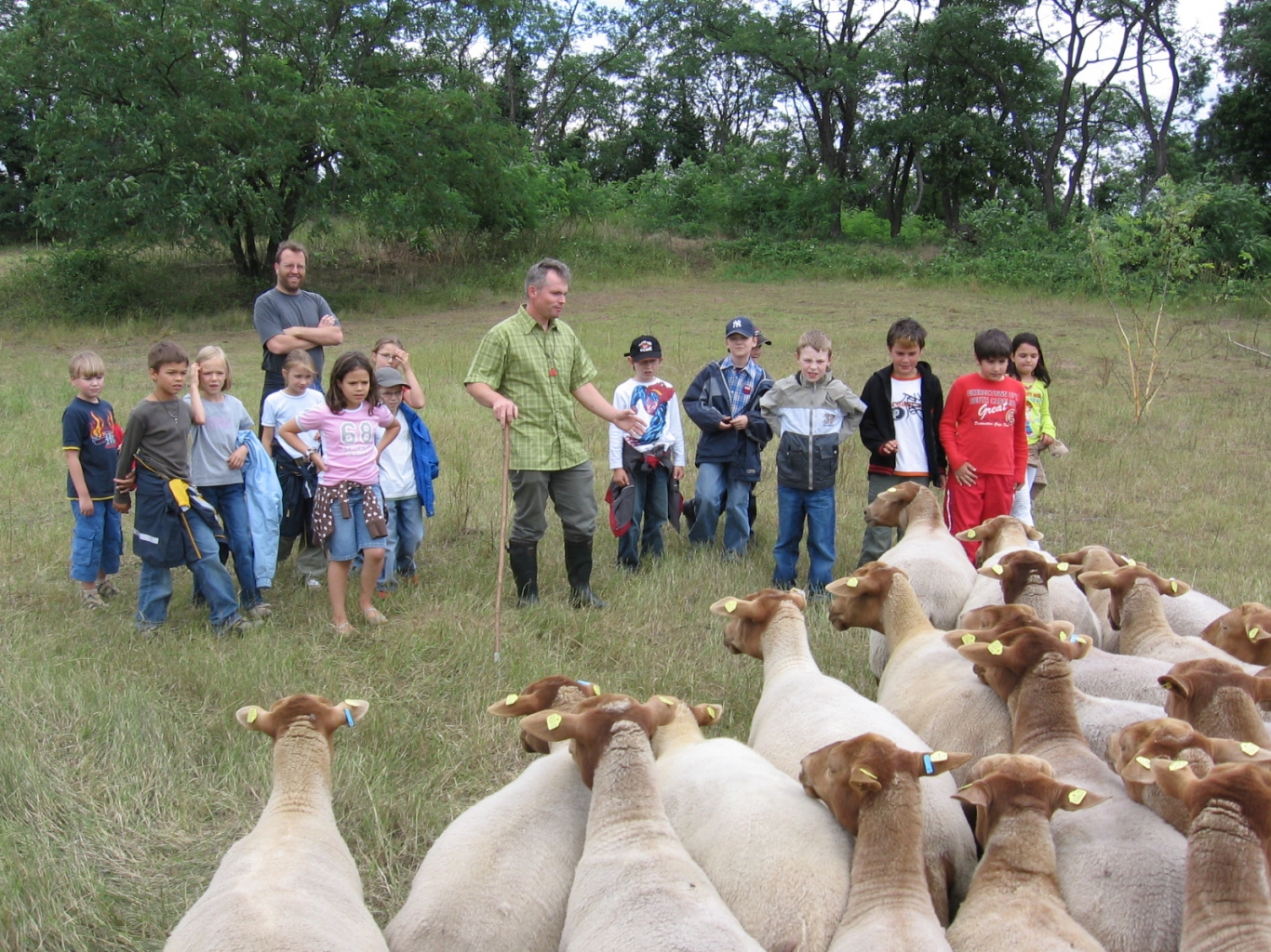 Kinder der Natur AG besuchen Schafe und Ziegen, die auf den Oftersheimer Dünen im Rahmen eines Naturschutzprojektes weiden.