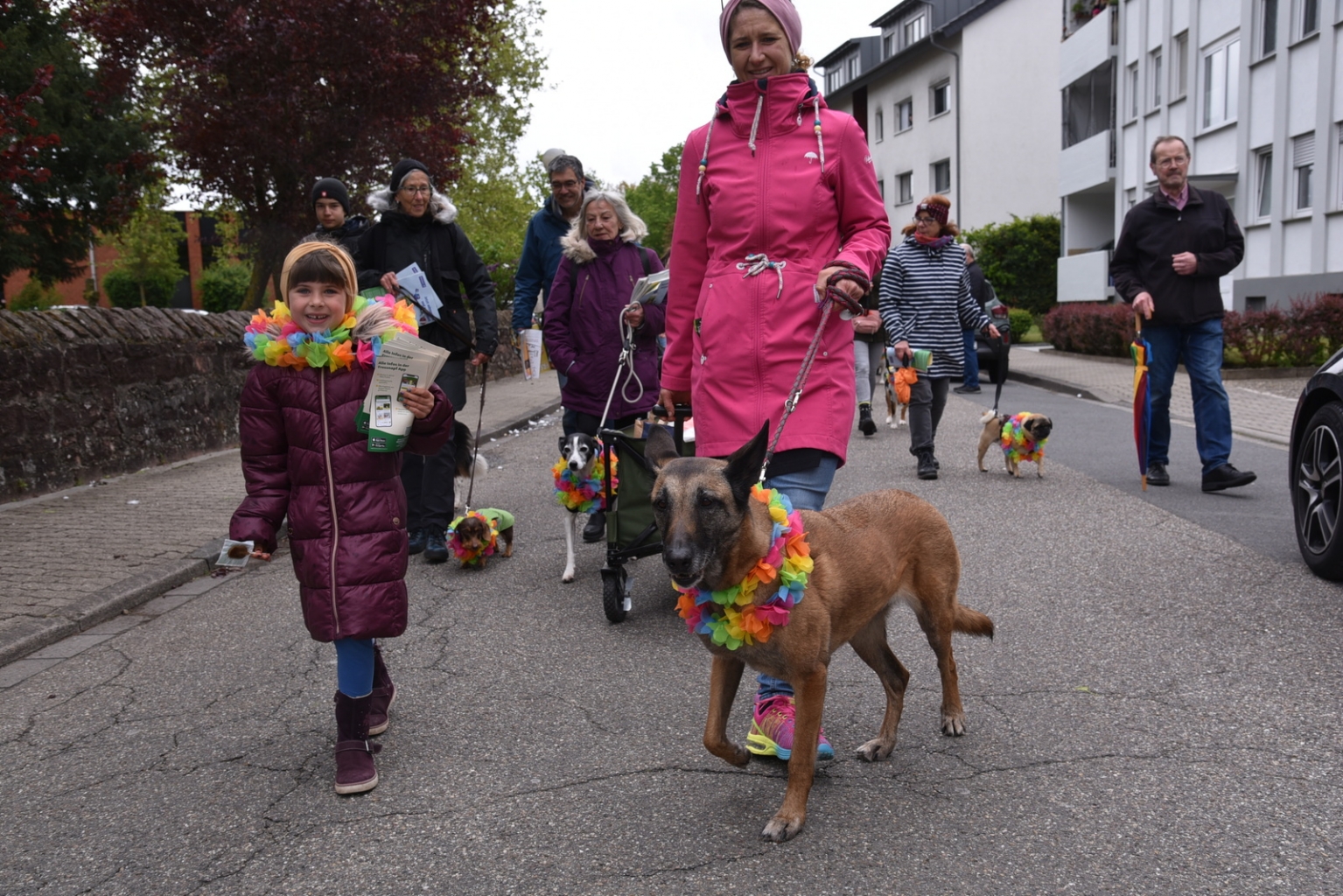 Neben den Kindern waren auch die Hunde vom Hundesportverein die heimlichen Stars. © Gemeinde Oftersheim