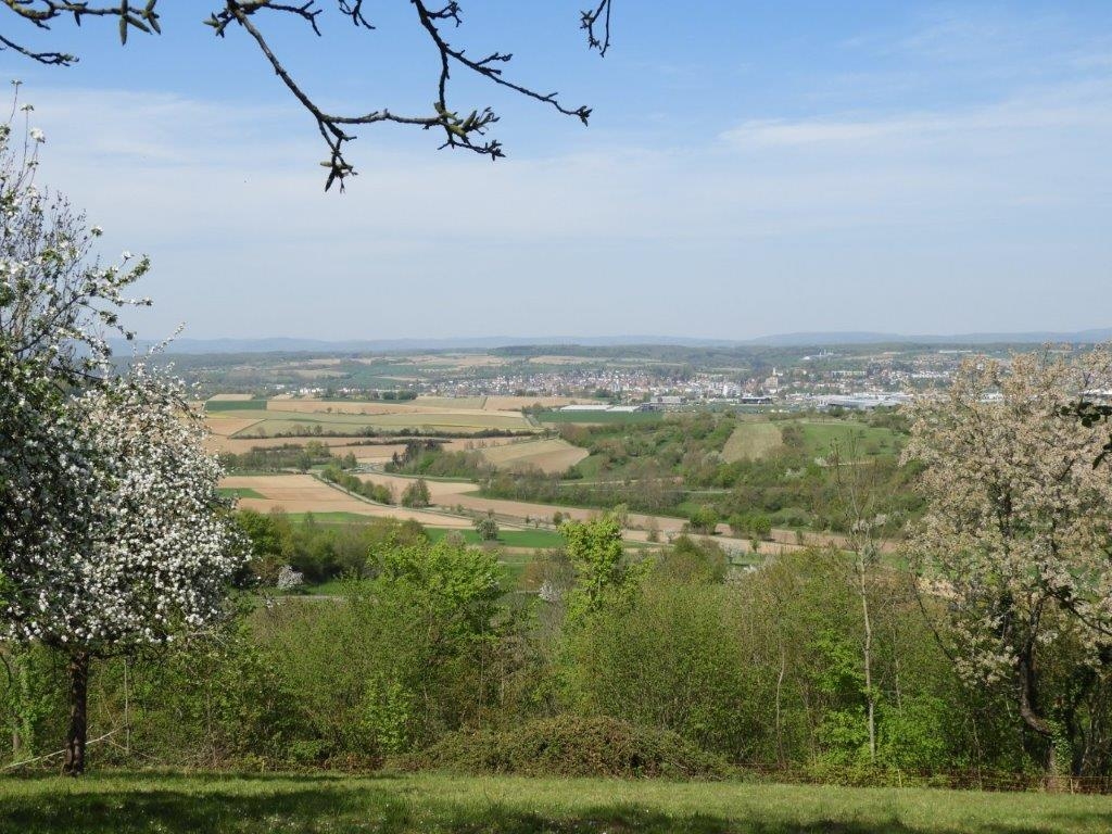 Blick vom einem Hügel auf Obst- und andere Bäume sowie landwirtschaftliche Felder (Foto: Landschaftserhaltungsverband Rhein-Neckar e.V.)