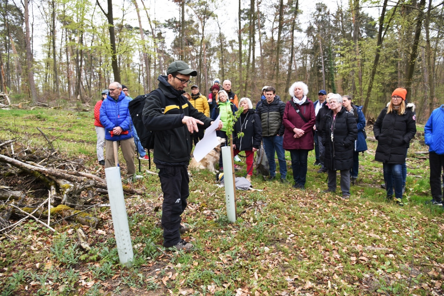Forstbezirksleiter Philpp Schweigler erläutert im Wald die Schwierigkeiten bei Nachpflanzungen.