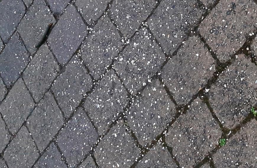 Ausgestreute Haferflocken