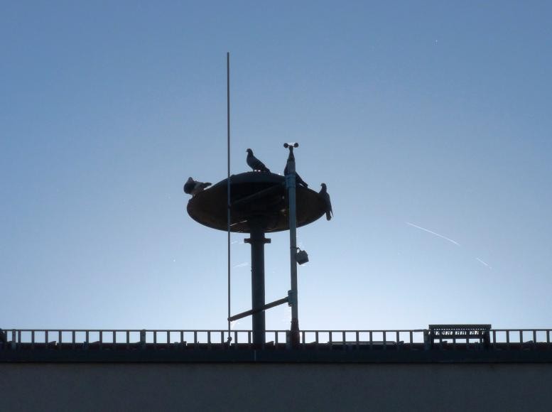 Sirene auf dem Rathausdach