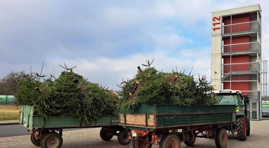 Anhänger mit aufgeladenen Weihnachtsbäumen. Bild FFWO Anhänger mit aufgeladenen Weihnachtsbäumen. Bild FFWO