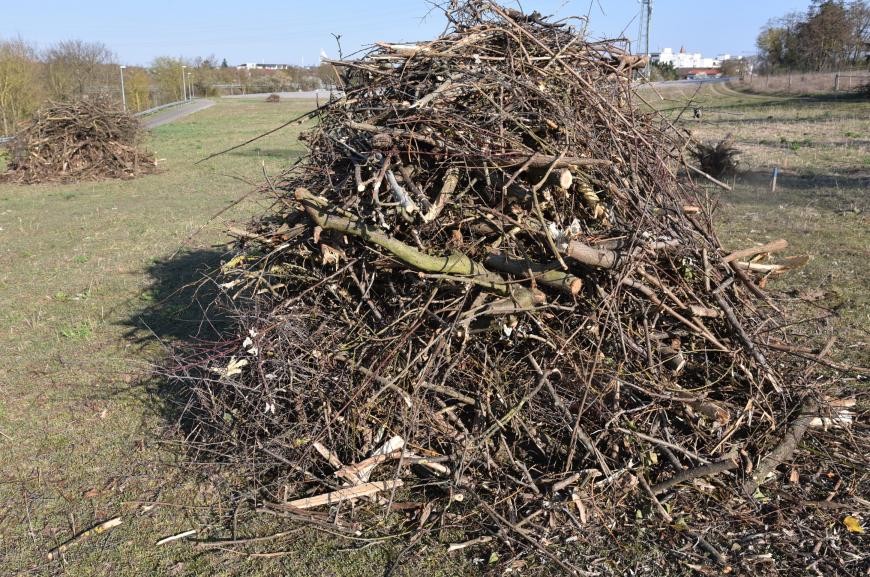 Gestapelte Holzäste an der Friedenshöhe