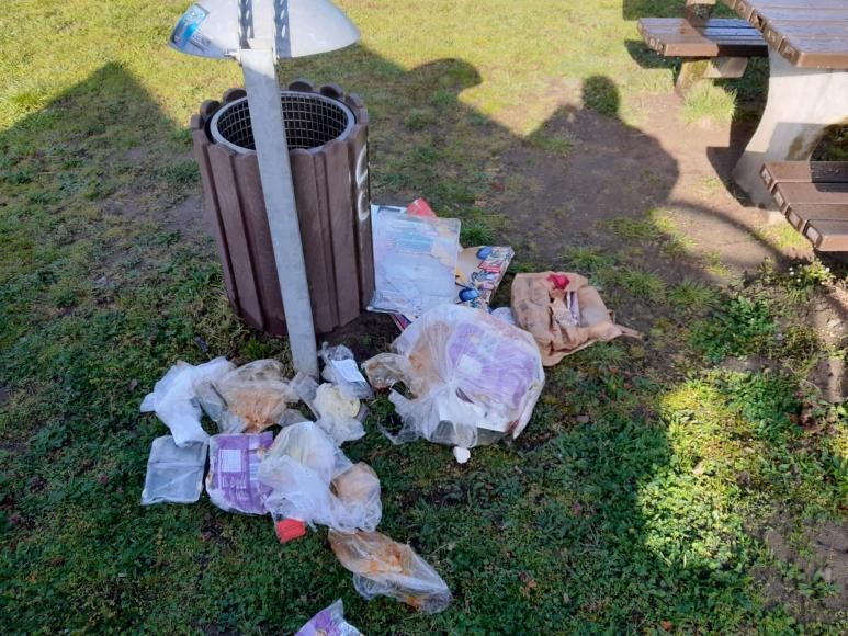 Illegale Müllablagerung am Friedhof Illegale Müllablagerung am Friedhof