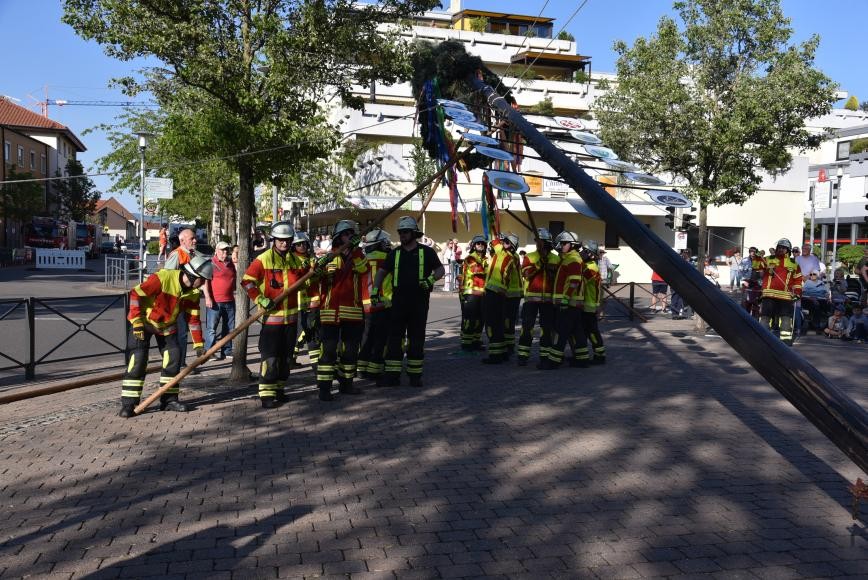 Wie der Maibaum 2025 aufgestellt wurde
