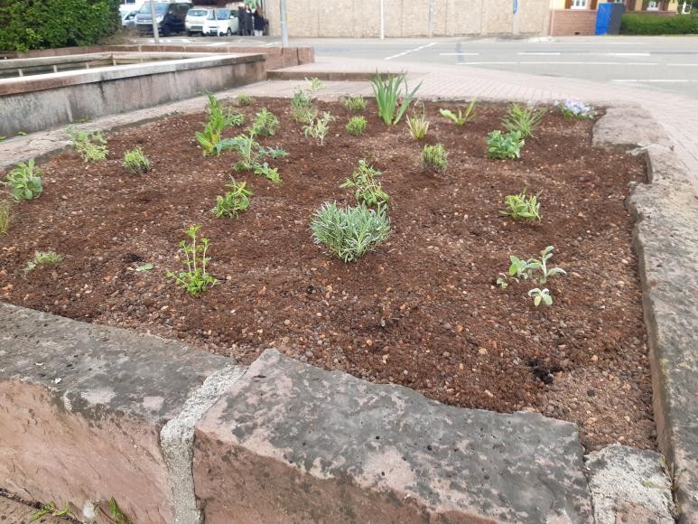 Das neue Staudenbeet