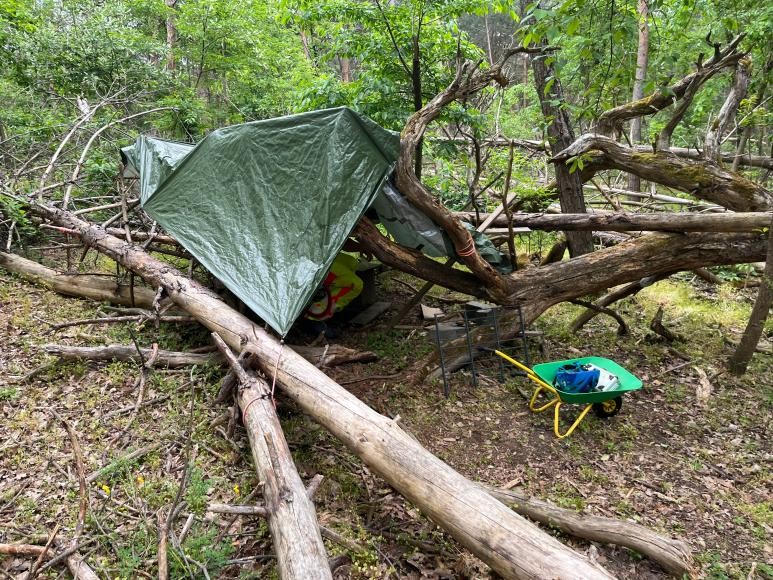Holzbauten im Wald mit Plane und Kinderschubkarren