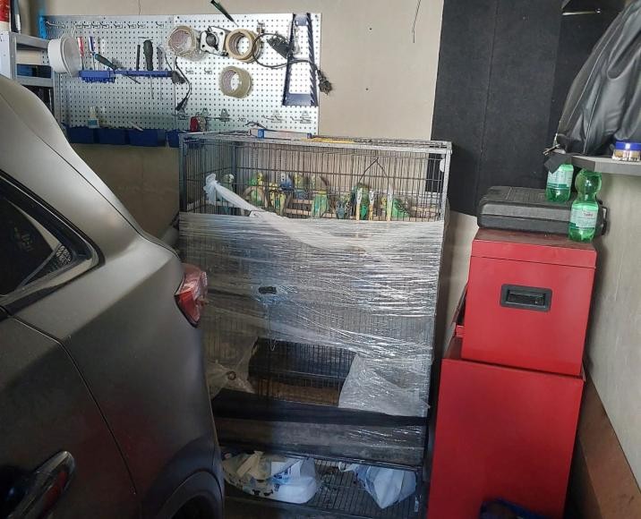 Der Käfig mit den Sittichen in der Garage, teil mit Folie abgedeckt