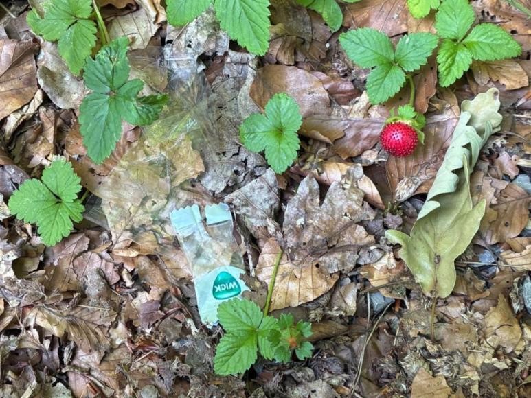 Weder kleines Bonbonpapier noch größerer Müll gehören in den Wald! Bild RNK Weder kleines Bonbonpapier noch größerer Müll gehören in den Wald! Bild RNK