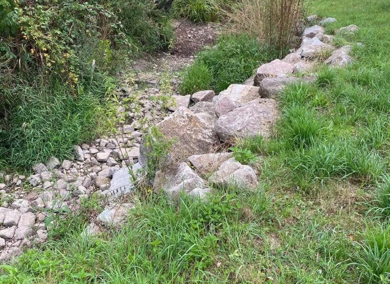 (Quelle: Landratsamt Rhein-Neckar-Kreis):  Das Bild zeigt den Losgraben bei Ladenburg Anfang September.